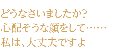 夢王国と眠れる100人の王子様